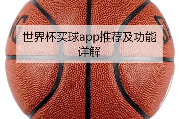 世界杯买球app推荐及功能详解