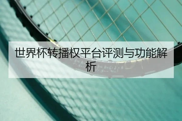 世界杯转播权平台评测与功能解析