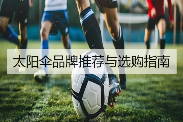 太阳伞品牌推荐与选购指南