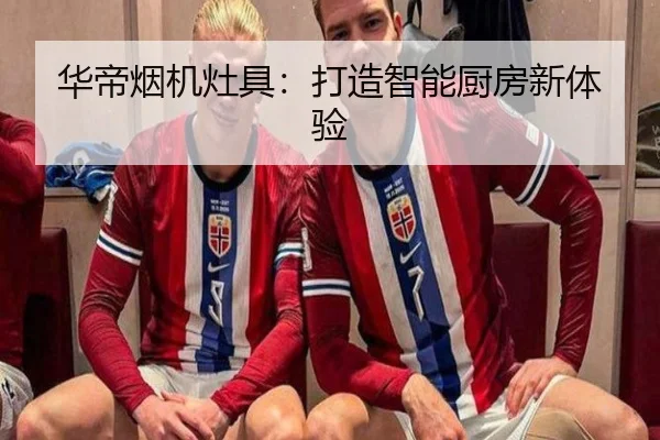 华帝烟机灶具：打造智能厨房新体验