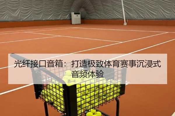 光纤接口音箱：打造极致体育赛事沉浸式音频体验