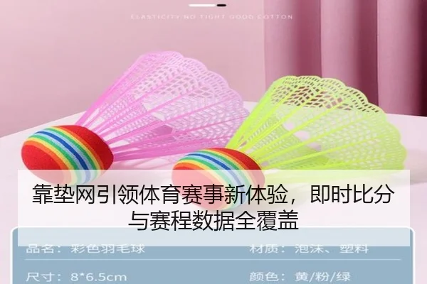 靠垫网引领体育赛事新体验，即时比分与赛程数据全覆盖